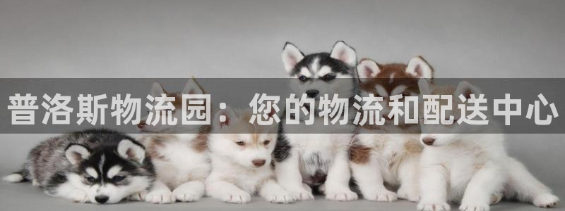 28圈里的财神：普洛斯物流园：您的物