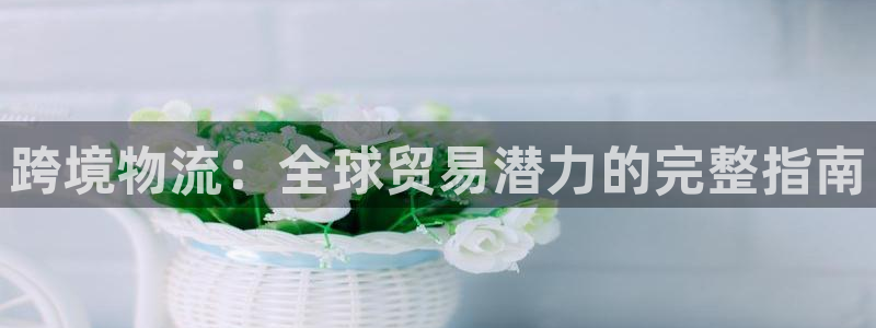 28圈黑吗