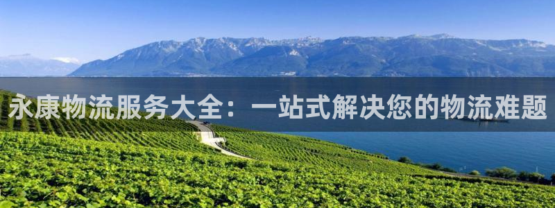 28圈娱乐官网网页下载：永康物流服务