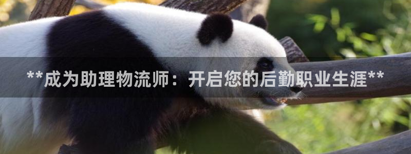 28圈注册条件：**成为助理物流师：