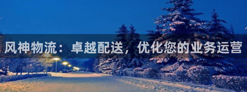 28圈代理落网：风神物流：卓越配送，