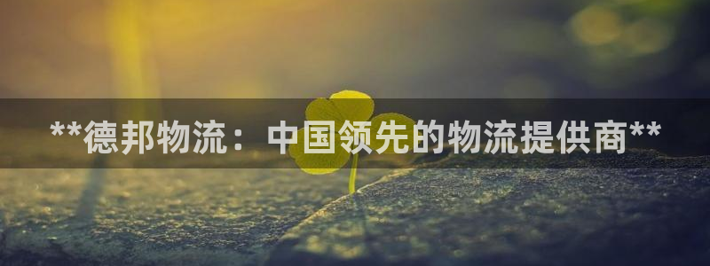 28圈官方：**德邦物流：中国领先的