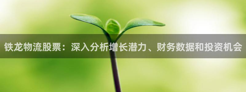 28圈圈