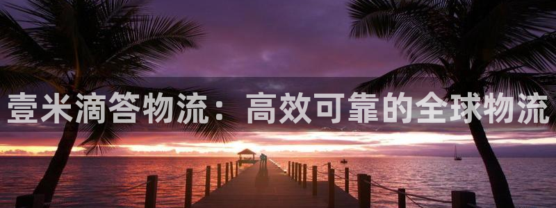 28圈登陆网：壹米滴答物流：高效可靠