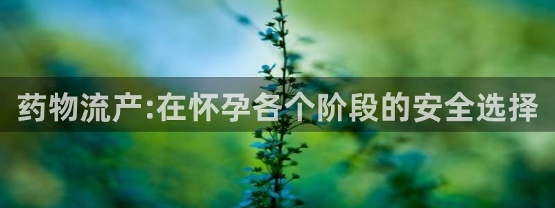 28圈人头费