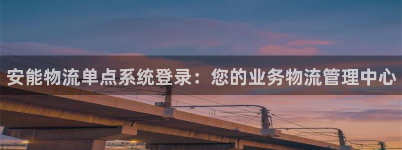 28圈链接是什么：安能物流单点系统登