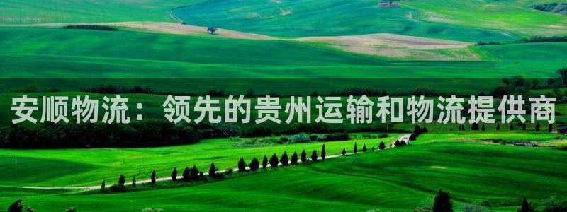 28圈怎么下载不了：安顺物流：领先的