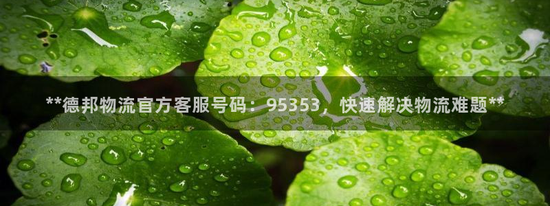 28圈网站平台是多少：**德邦物流官