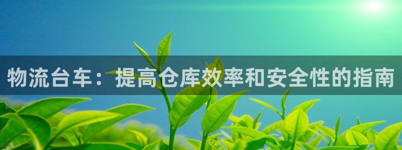 28圈官方平台：物流台车：提高仓库效