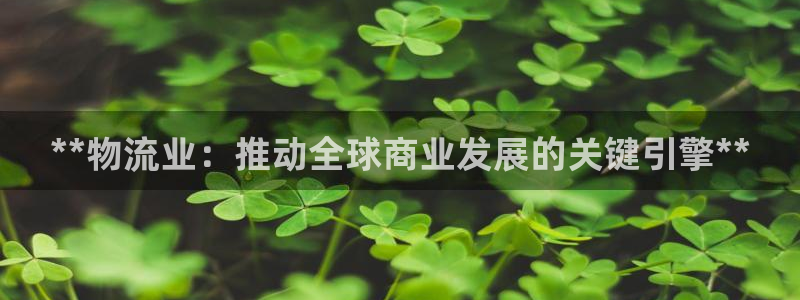 28圈.ccmpc正版