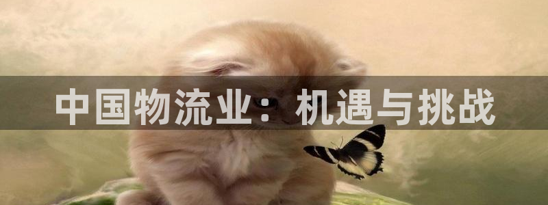 28圈激活码：中国物流业：机遇与挑战