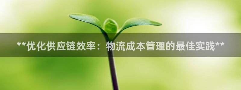 28圈模拟器