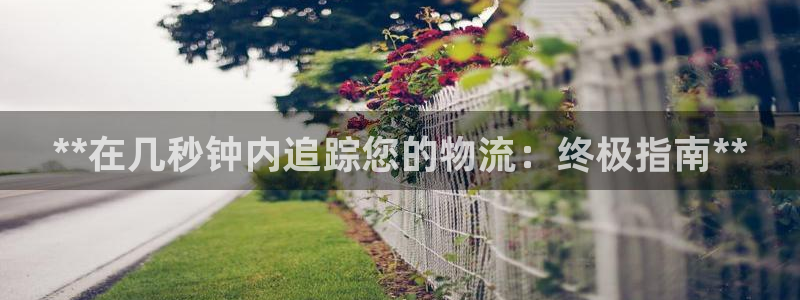 28圈加拿大2.8预测在线预测