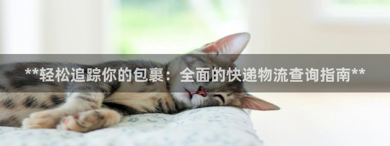 28圈充值：**轻松追踪你的包裹：全