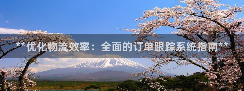 28圈.ccmpc28：**优化物流