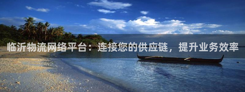 28圈.ccm2024：临沂物流网络