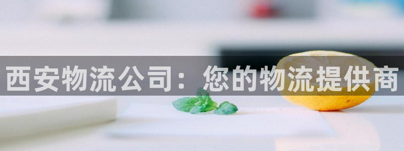 28圈预测：西安物流公司：您的物流提