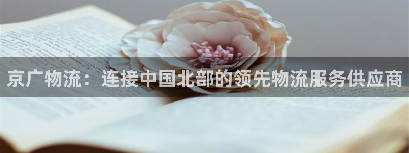 28圈取保