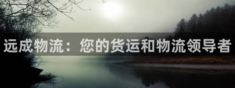 28圈圈助手