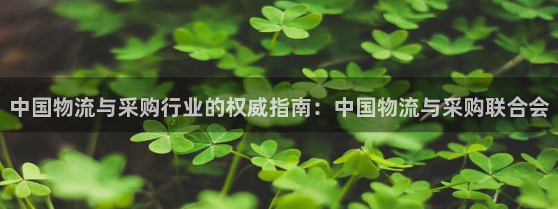 28圈比特28真实吗：中国物流与采购