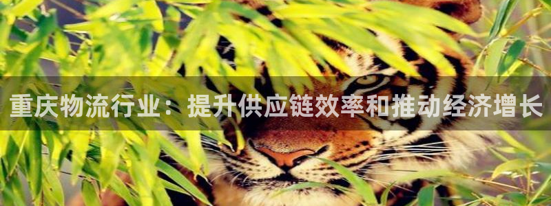 28圈注册网站链接：重庆物流行业：提