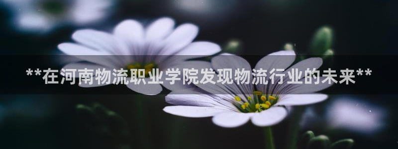 28圈注册官网：**在河南物流职业学