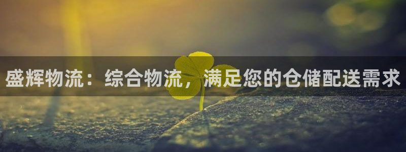 28圈注册官网：盛辉物流：综合物流，