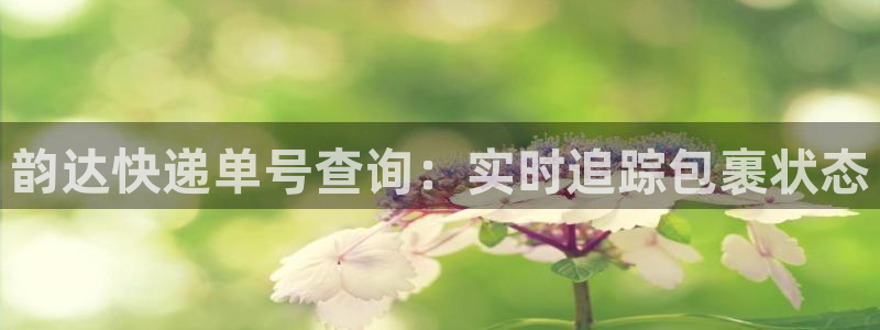 28圈.ccmpc预测：韵达快递单号