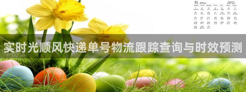 28圈在线预测：实时光顺风快递单号物