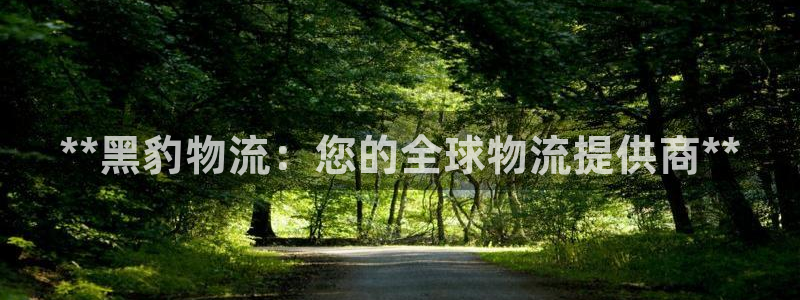 28圈p图上分下款通道：**黑豹物流