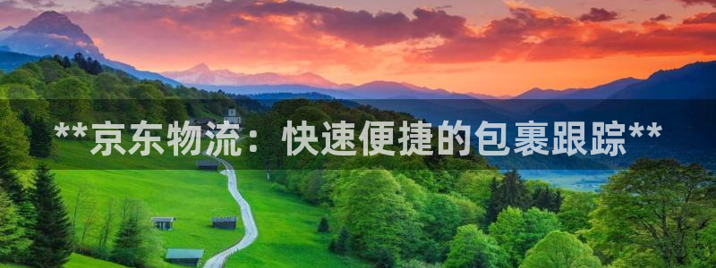 28圈黑钱：**京东物流：快速便捷的