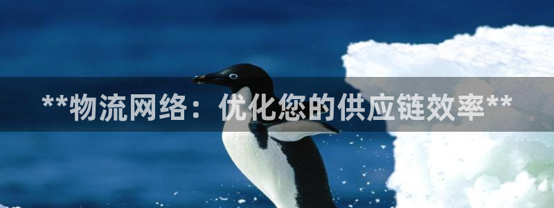 28圈.ccm：**物流网络：优化您
