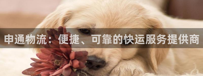 28圈官网链接