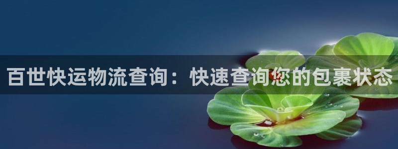 28圈违法吗