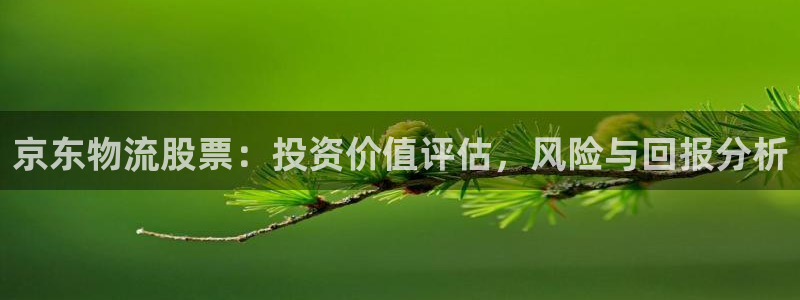 28圈游戏最新版