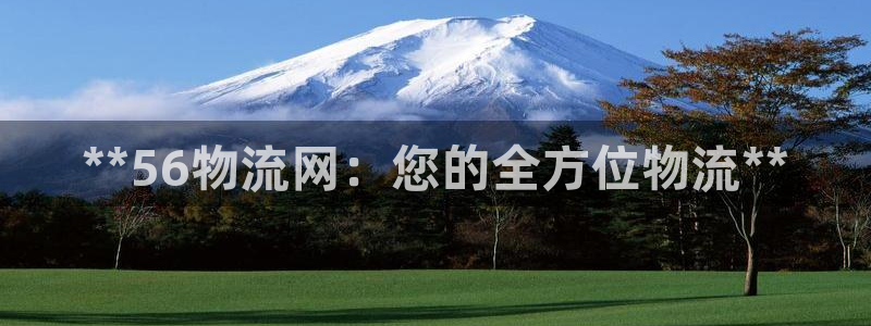 28圈模拟器下载