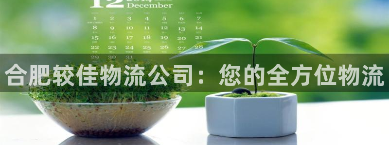 28圈登录：合肥较佳物流公司：您的全
