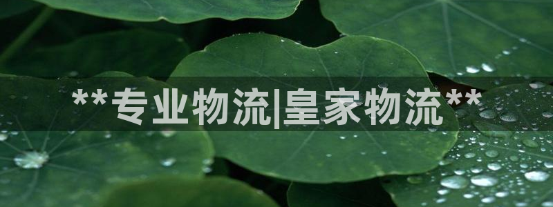 28圈加拿大技巧：**专业物流|皇家