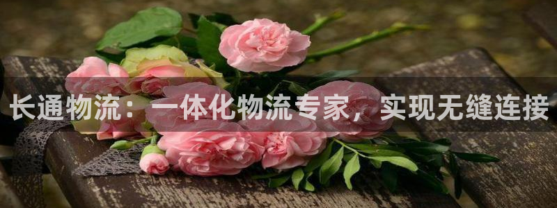 28圈新用户怎么注册：长通物流：一体