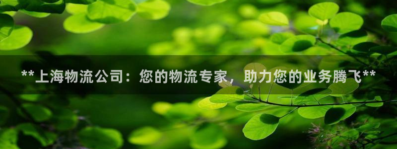 28圈提款一直没到：**上海物流公司
