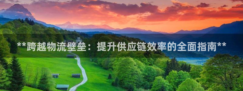 28圈电子游戏
