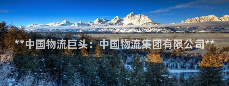 28圈犯法吗：**中国物流巨头：中国
