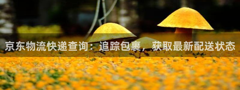 28圈提款一直没到：京东物流快递查询