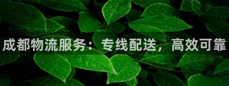 28圈登录网：成都物流服务：专线配送