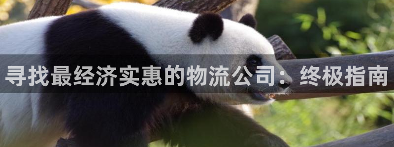 28圈娱乐官网网页下载