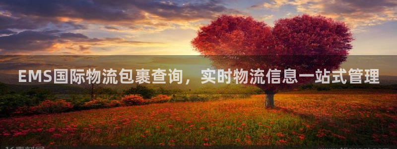 28圈黑款：EMS国际物流包裹查询，