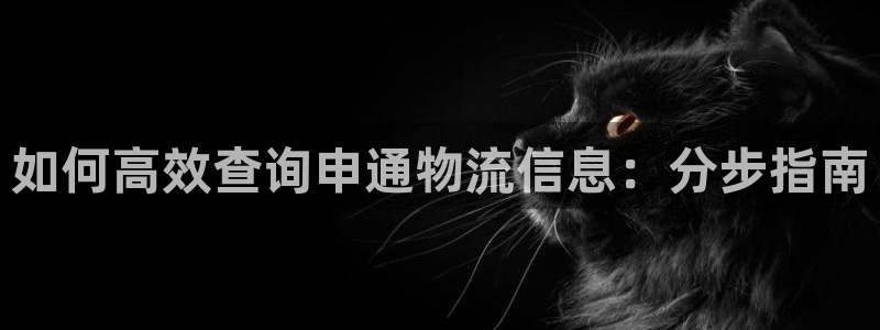28圈娱乐官网网页下载