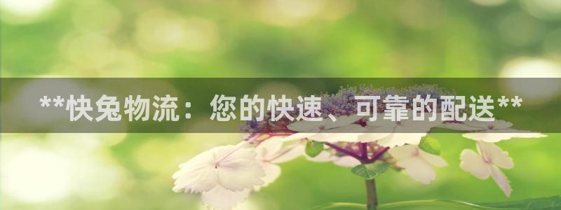 28圈如何看012路计划