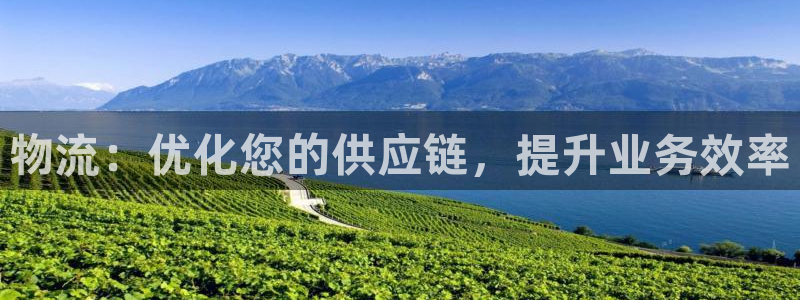 28圈ccm官网版