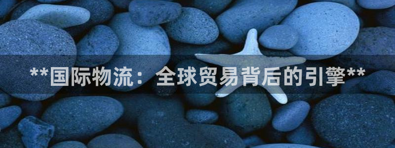 南宫28圈怎么注册：**国际物流：全